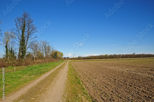 Primavera a Basiglio, Parco agricolo Sud Milano