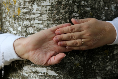 the woman's hands encircle the tree trunk. hands with fingers together. Human hands against a wooden bark background 