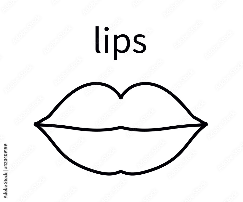 Female lips on a white background. Linear silhouette. Vector illustration. Female lips on a white background. Linear silhouette. Vector illustration.
