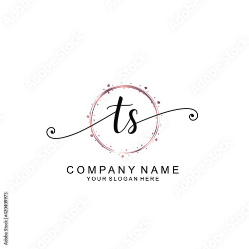 TS beautiful Initial handwriting logo template photo