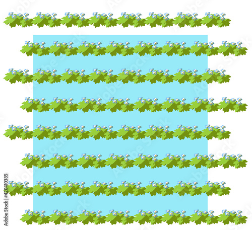 オオイヌノフグリ