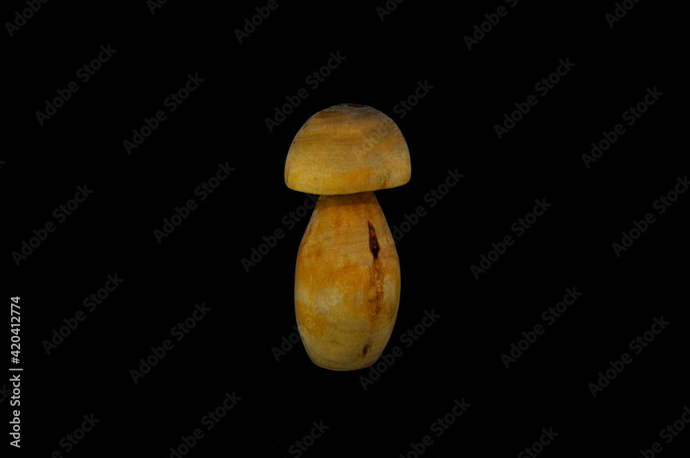 Wooden mushroom on a black background close-up Wooden mushroom on a black background close-up
