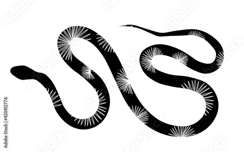 Tropical sea snake isolated on white background. Snake skin. Reptile. Vector illustration