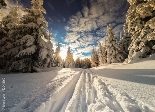 Einsame Spur im Winter  Winterlandschaft am Rennsteig in Thüringen Thüringer Wald photo
