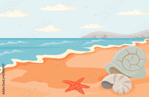 Water covers sandy beach with starfish and seashells. Seascape with salty water on seashore