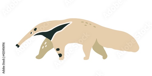 Giant anteater or ant-bear with long nose. Walking Brazilian ant-eater with d...