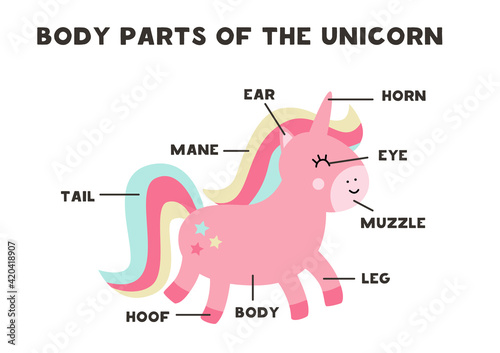 Body parts of the unicorn. Scheme for children.