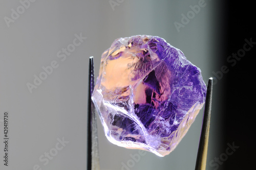 Natural mined unheated Bolivian bicolor yellow purple ametrine raw rough crystal gem in tweezers closeup details inclusions 
look through massive. Gray gradien horizontal background.