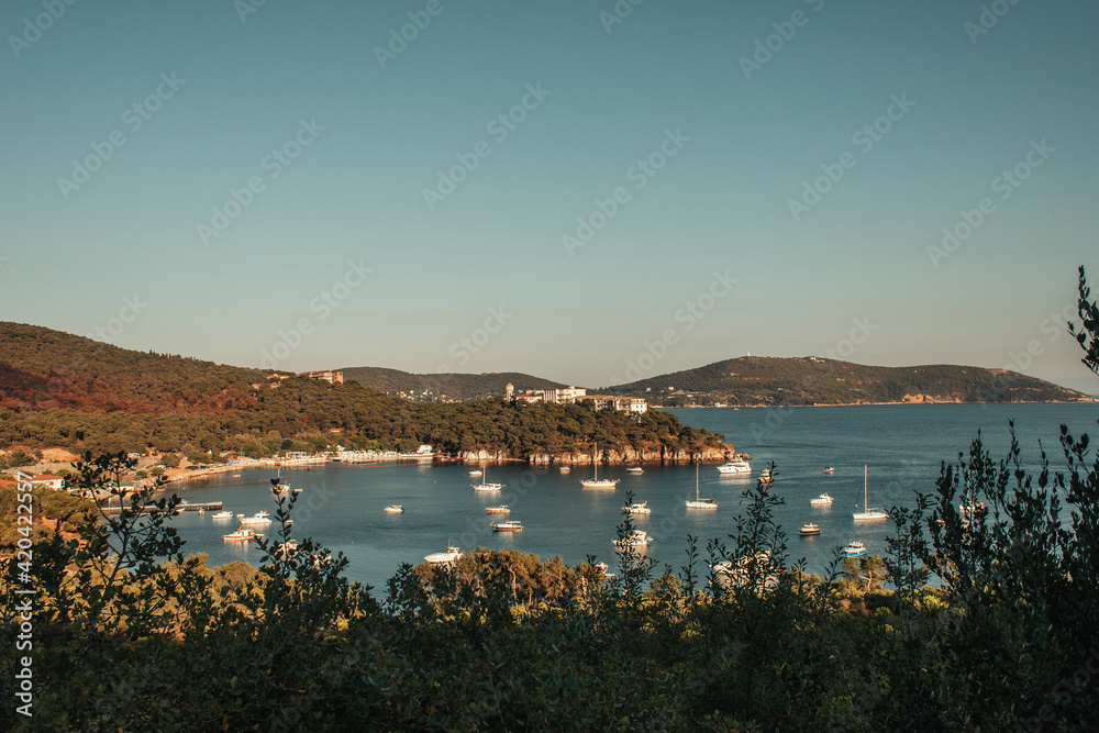 yachts in sea bay, surrounded by green hills