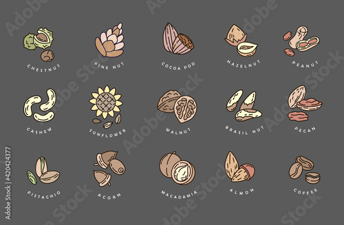 Vector icon and logo for nuts and seeds. Editable outline stroke size. Line flat contour, thin and linear design. Simple icons. Concept illustration. Sign, symbol.
