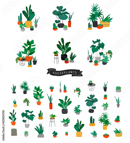 Potted plants collection. Urban jungle  trendy home decor with plants  cactus  tropical leaves. Set of house indoor plant vector hand drawn cartoon