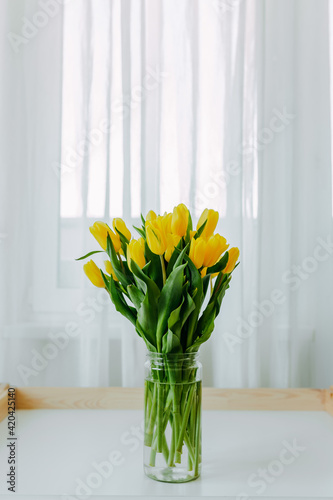 Bright fresh yellow tulips on white background. Bunch of yellow tulips in big glass jar in white interior. Spring flowers in glass vase on white table at home.