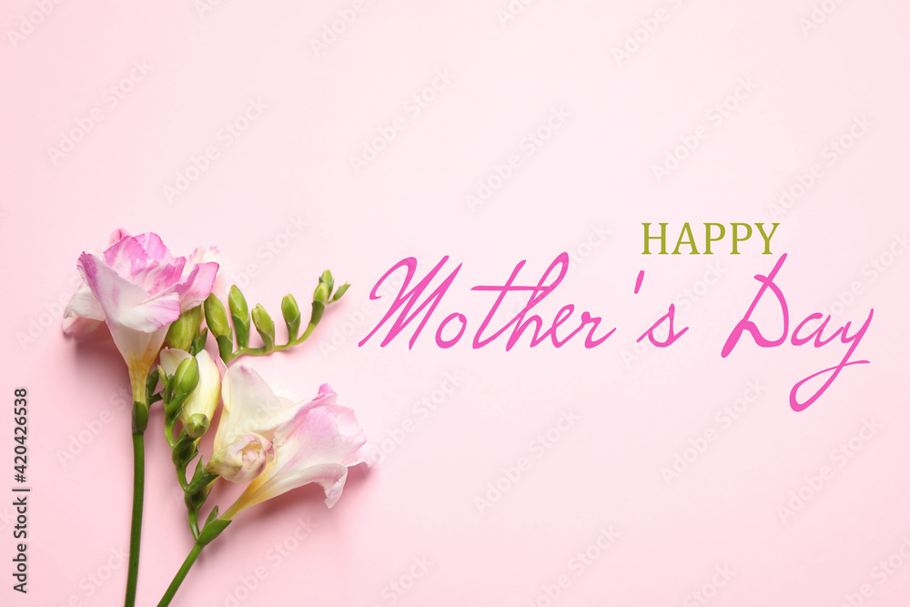 Happy Mother's Day. Beautiful freesia flowers on pink background, flat lay Happy Mother's Day. Beautiful freesia flowers on pink background, flat lay