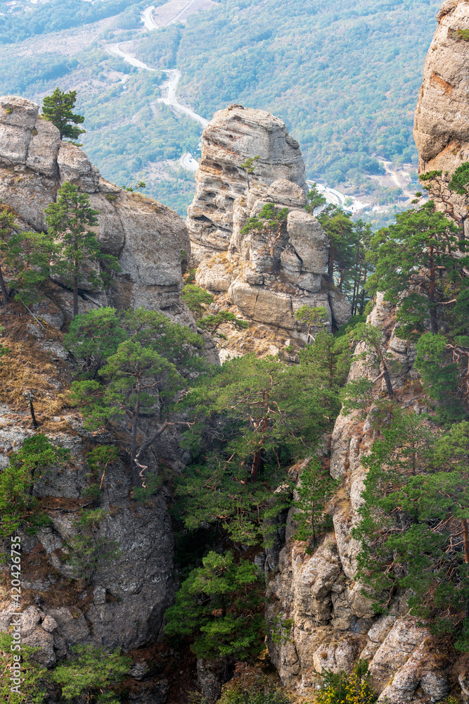 Obraz premium Rocky landscape with pines on top of Yuzhnaya Demerdzhi mountain in Crimea. Dolina Privideniy, or Ghosts Valley is popular tourist destination.