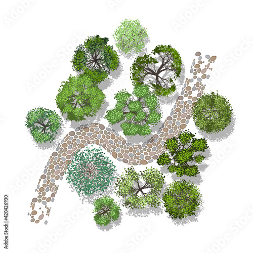 Vector illustration. Landscape design. Top view. Path, trees and flowers. View from above.