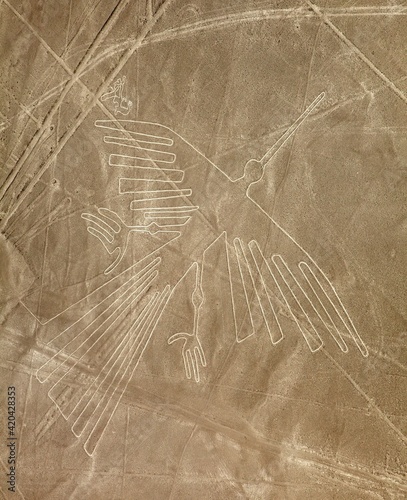 Condor geoglyph Nazca Nazca mysterious lines geoglyph