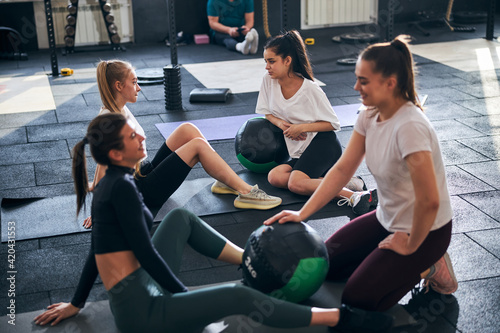 Young sporty women having a gym session together