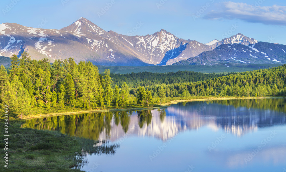 Wild forest lake in the Altai mountains on a summer morning, picturesque reflection