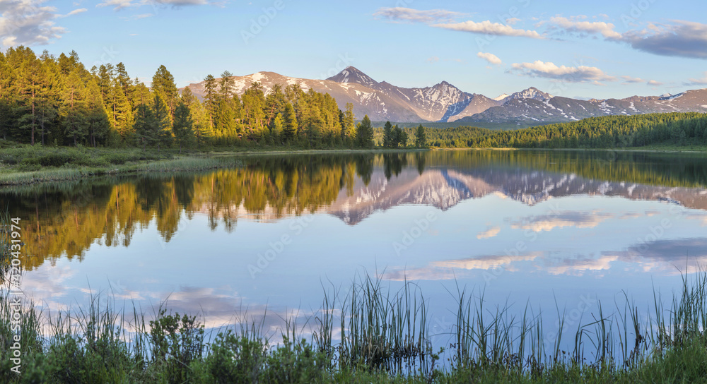 Fototapeta premium Wild forest lake in the Altai mountains on a summer morning, picturesque reflection