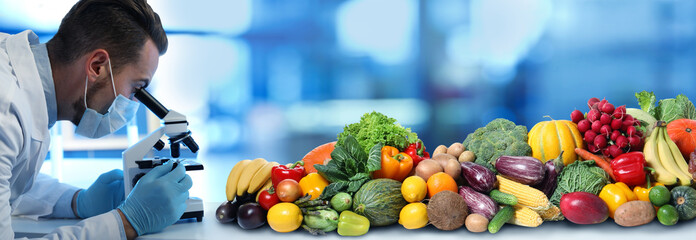 Quality control specialist inspecting food in laboratory. Banner design