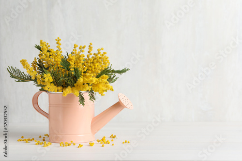 Canvastavla Beautiful mimosa flowers in watering can on white wooden table, space for text
