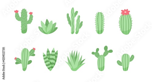 Set of cute cactus and succulents, vector illustration in flat style