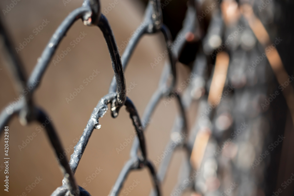 iron bars, fences. close up. iron bars, fences. close up.