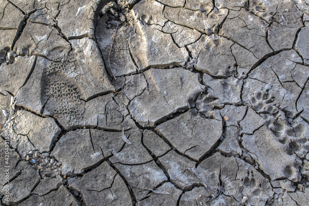 Dry, cracked earth texture with footprints in it Dry, cracked earth texture with footprints in it