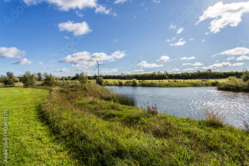 Countryside Landscape with a tree