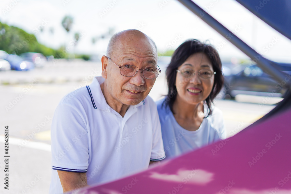 Obraz premium 車を運転するおじいさんとおばあさん