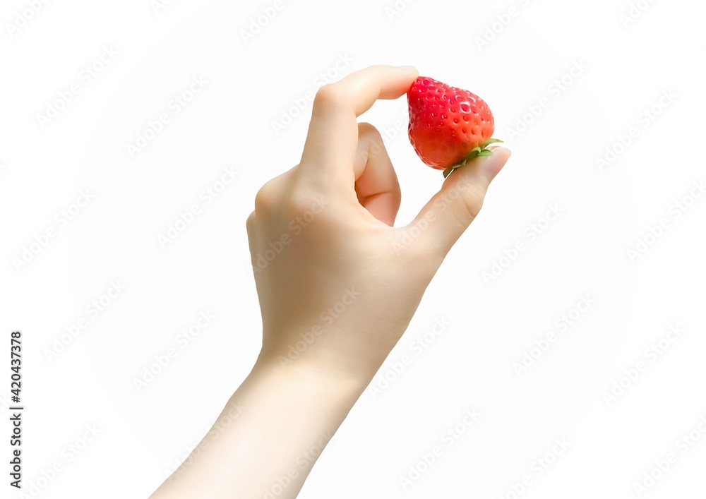 Obraz premium イチゴを持つ手 アップ 白色の背景