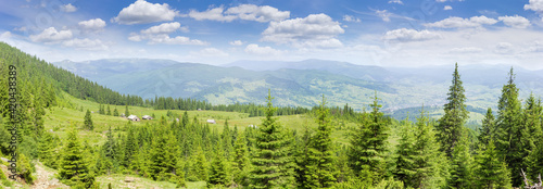 Mountain valley and distant mountain ranges with spruces on foreground