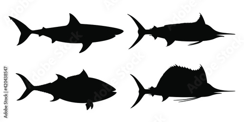 Sea fishes graphic icons set. Shark, tuna, marlin, sailfish, symbols isolated on white background. Vector illustration
