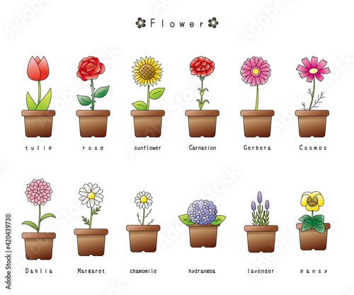 鉢植え　花のイラスト素材セット　グラデーション