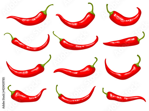 Red peppers. Hot delicious natural mexican traditional product cooking ingredients natural spice for preparing food recent flat illustrations of peppers