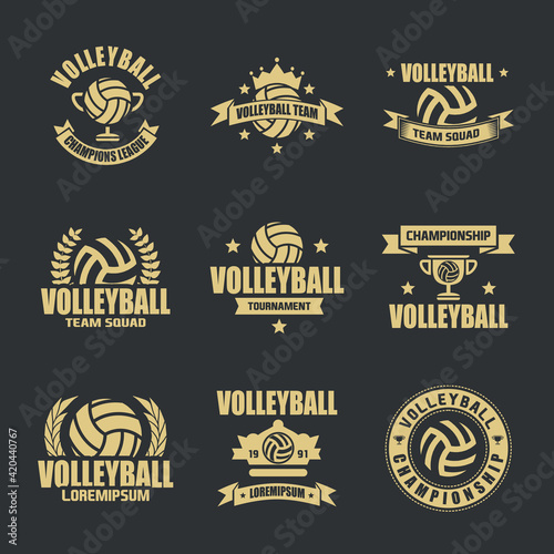  of Volleyball logo. Retro Logo, Vintage Logo Design Template Inspiration