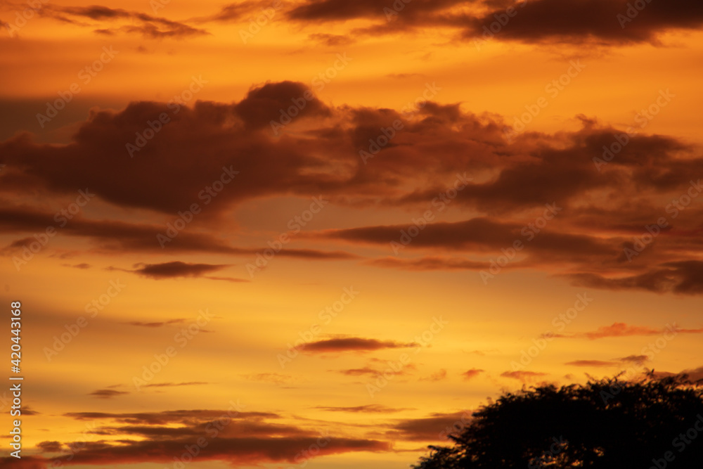 Altostratus clouds in golden sunset. Evening Cloudscape.
