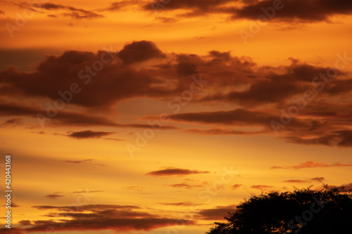 Altostratus clouds in golden sunset. Evening Cloudscape.