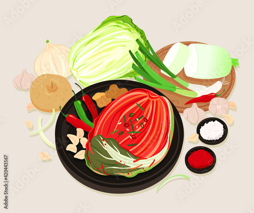 Kimchi, a traditional Korean fermented food. Korean cabbage pickles food vector illustration.