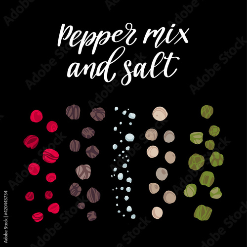 Spices for cooking. Set of black, green, white and red whole pepper and coarse sea salt.