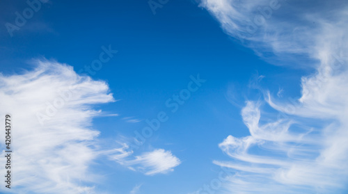 Soft Cirrus Couds on blue sky. Clear cloudscape background. 