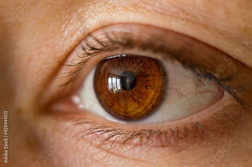 Macro shot of the pupil of the eye. Brown eye. Close shot of female eyes. Soft focus photography.