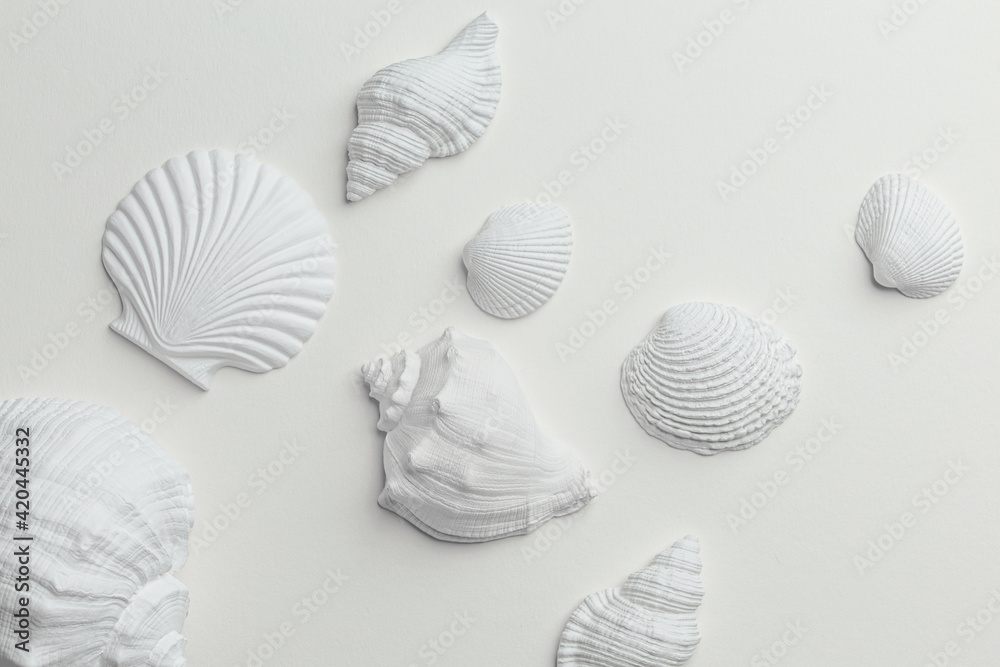 Set of white monochrome assorted seashells on white paper top view. Different white seashells from above, calm and relaxed sea summer beach concept. Spa and resort 