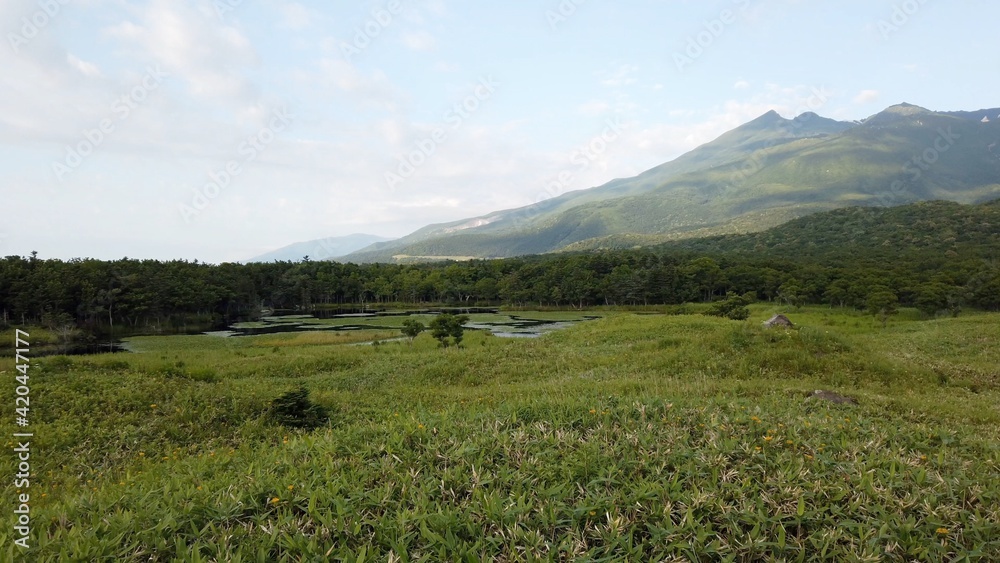 Fototapeta premium 知床 知床五湖 知床半島 北海道 日本 世界遺産 知床国立公園