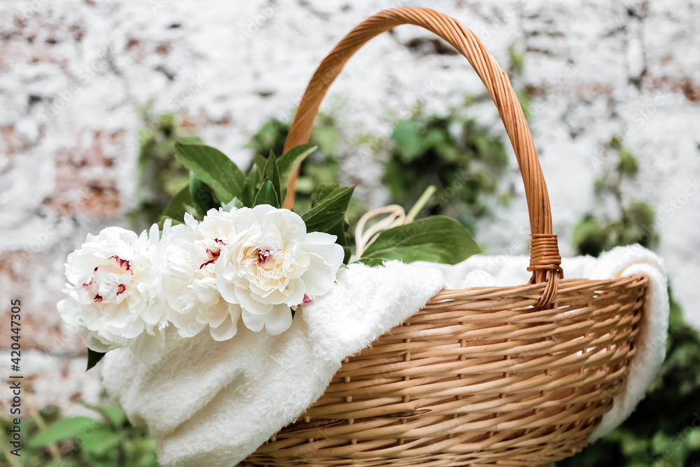 Bouquet of white peonies flowers in basket on plaid outside against white wall. Spring flowers. Cut peonies in garden.