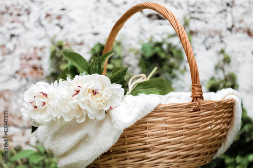 Bouquet of white peonies flowers in basket on plaid outside against white wall. Spring flowers. Cut peonies in garden.