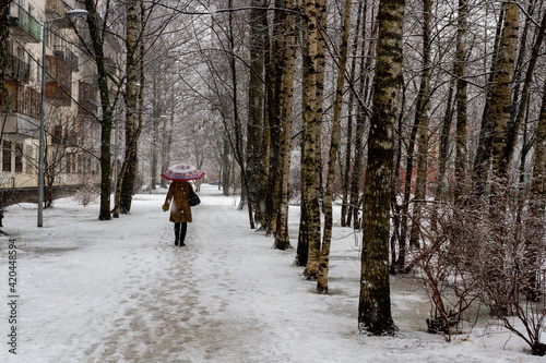 Saint-Petersburg, Russia - March 15, 2021: Wet snow, a woman with an umbrella is walking along the path, birch trees, an apartment building. Spring snowfall in the Russian city of St. Petersburg.