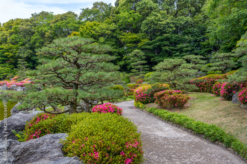 Footpath in a beautiful Japanese garden
