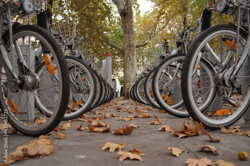 Bicycles in autumn park
