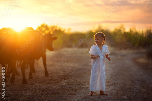 A little girl in a sundress walks barefoot in the village and looks at the cows.